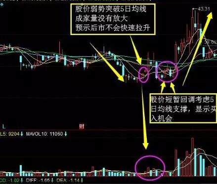 为什么不断有大单买入,股价却下跌?牢记“尾盘5分钟选股法”,看懂游资进出龙头股套路,找准所有次日涨停|股价_新浪财经_新浪网