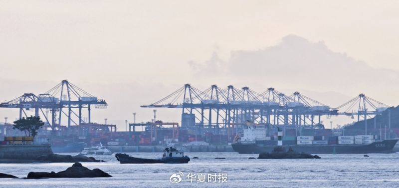 (王潇雨 影相)