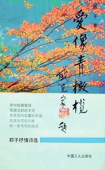 文字与光影间,导演郑子的诗意世界|诗歌_新浪财经_新浪网