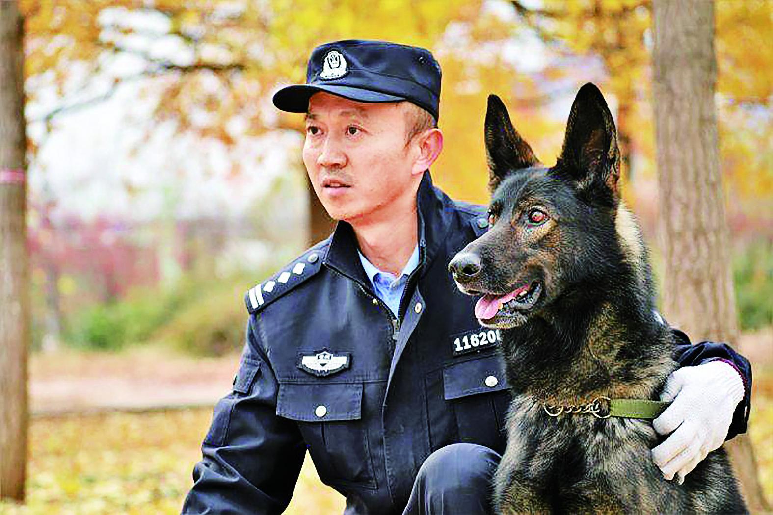 重庆警犬“黑狼” 成为中国警犬LOGO|警犬_新浪财经_新浪网