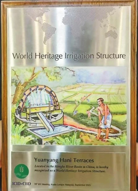 元阳哈尼梯田世界灌溉工程遗产名录证书。 通讯员 舒睿 摄