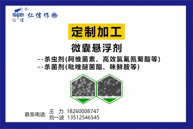 (本图为告白,与下文无关)