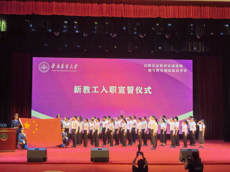 教工支部书记可以连任吗