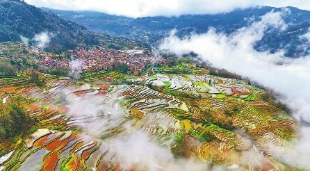 元阳哈尼梯田（航拍）。 通讯员 张艳 摄
