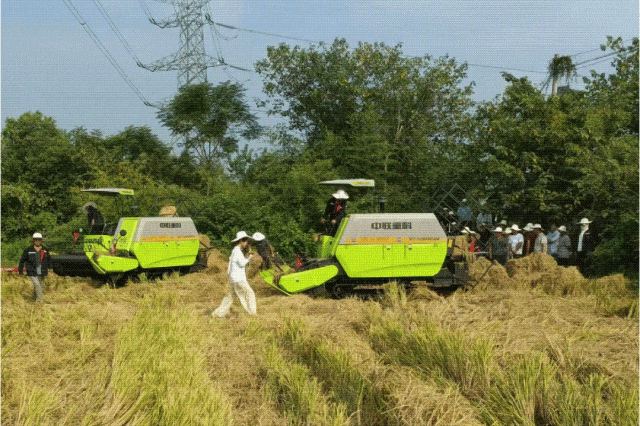 ▲中联重科履带自走式打捆机在各地演示会中表现优异