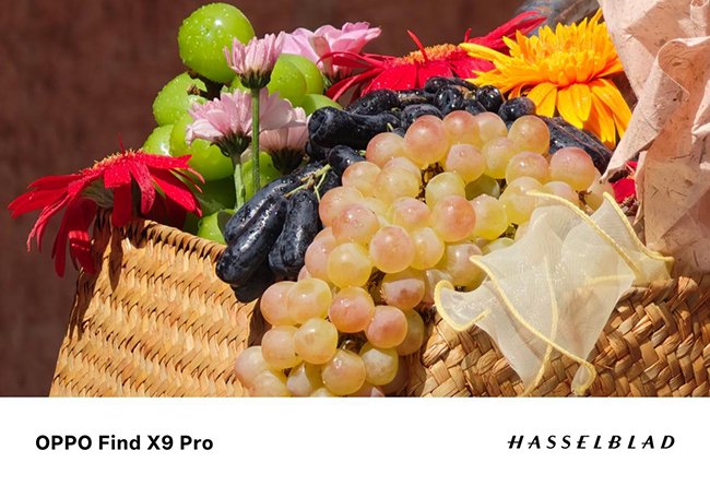 OPPO Find X9 Pro哈苏 2 亿像素样张局部裁切放大