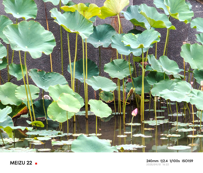 实际拍摄体验中，魅族22主摄在各种光线条件下都表现出色，色彩还原准确，HDR 处理也很自然。