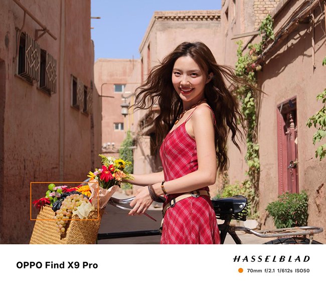 OPPO Find X9 Pro哈苏 2 亿像素样张局部裁切放大