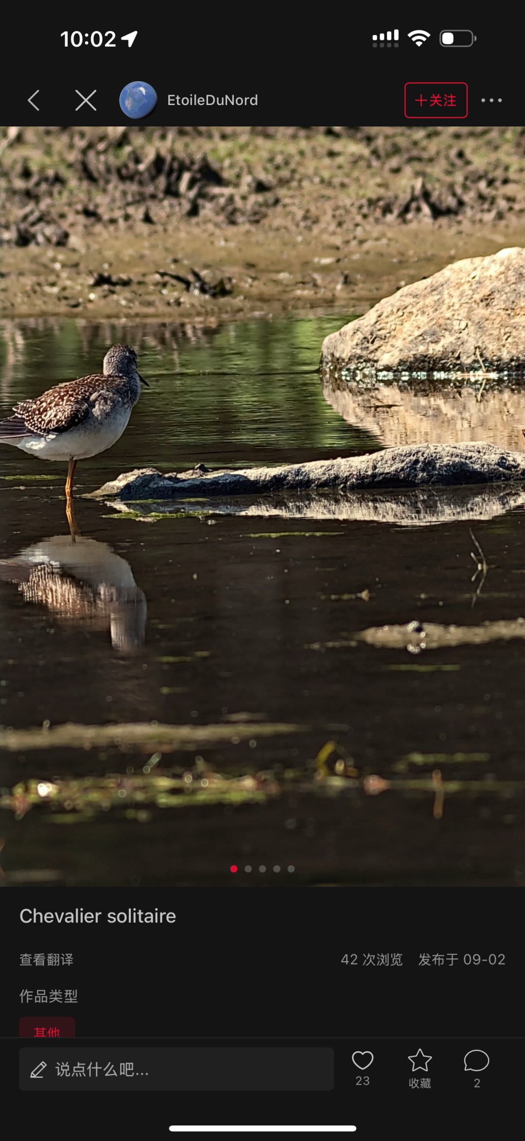 内置天文社区观鸟图 ｜图片来源：截屏