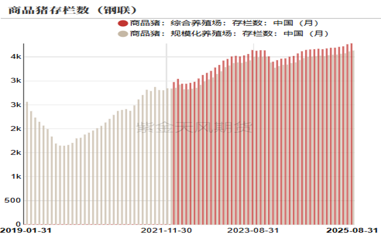数据来源：钢联  紫金天风期货研究所