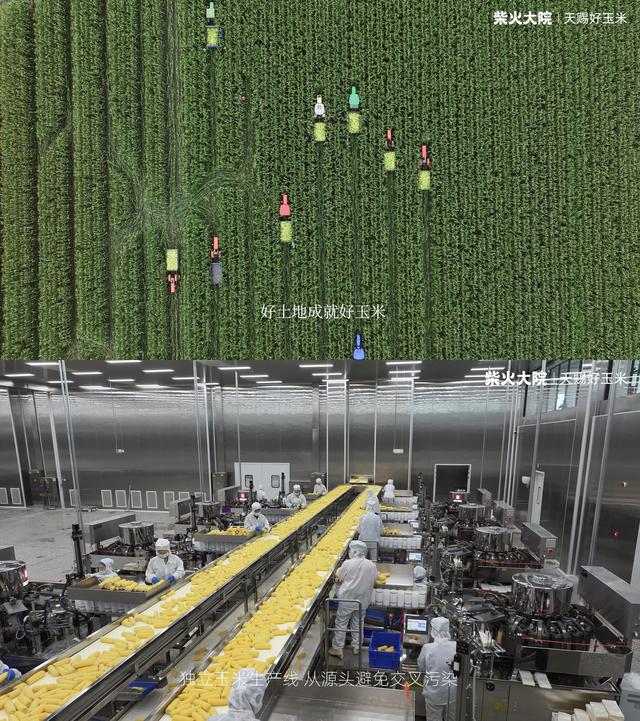 生态片与工厂片视频截图