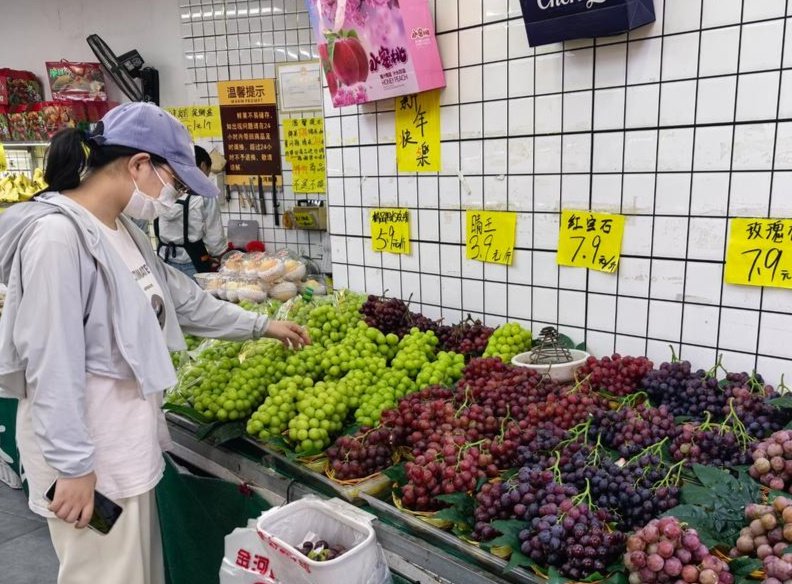近日，地板價(jià)濟南歷下區一家水果店內，零售消費者正在選購葡萄。價(jià)曾斤陽(yáng)<strong></strong>