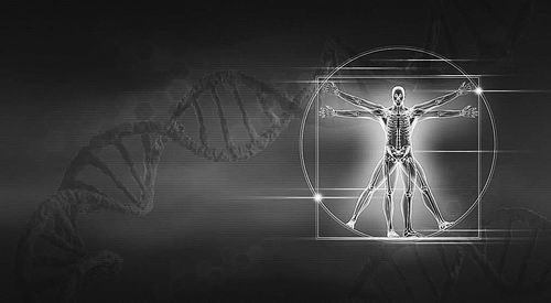 图片来源：Shutterstock