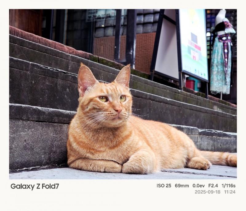 3倍变焦低视角拍摄