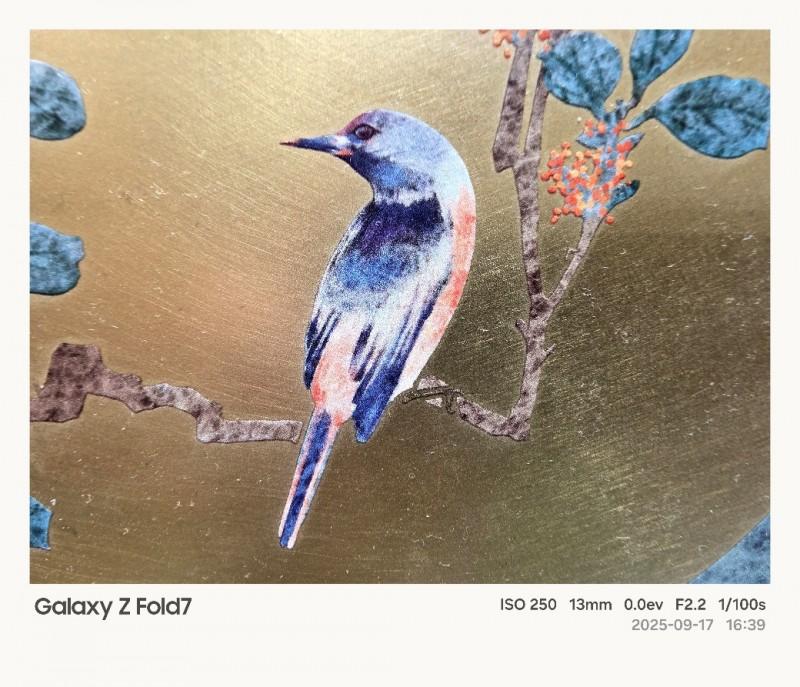 超广角微距拍摄