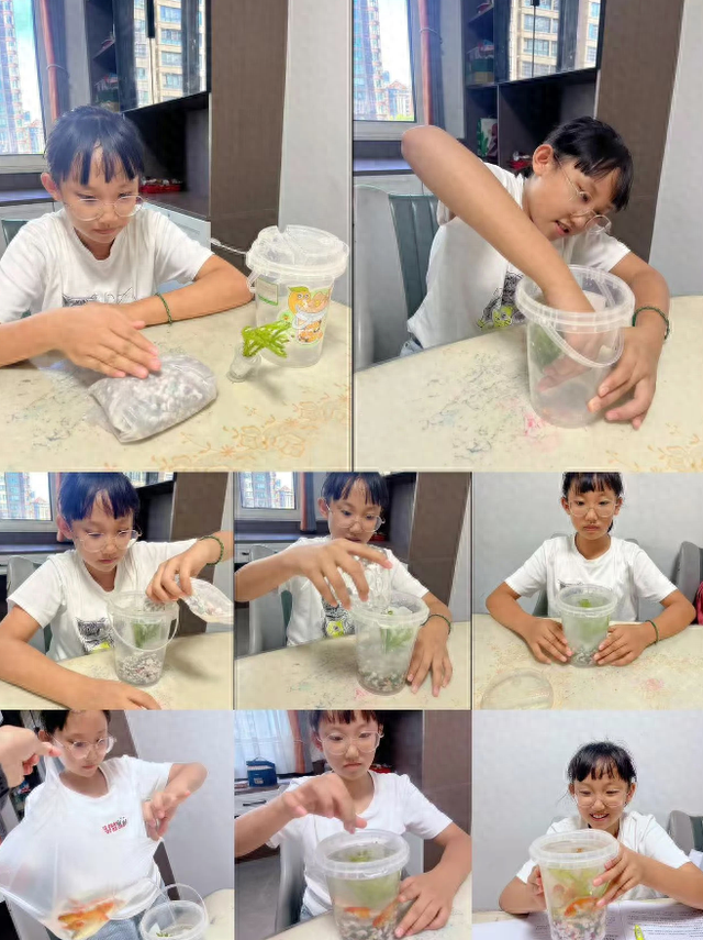 陕西渭南市实验初级中学举办第七届“劳动+”跨学科综合实践作业优秀作品展