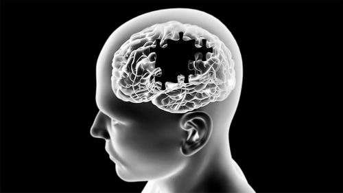 图片来源：Shutterstock