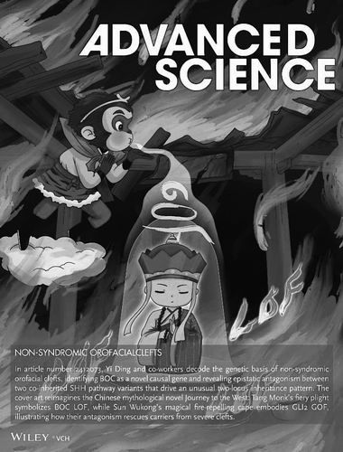 西安交通大学供图