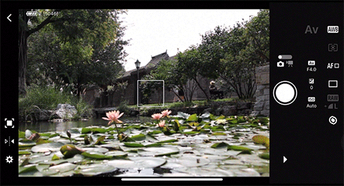 使用Canon Camera Connect软件在手机上取景拍摄