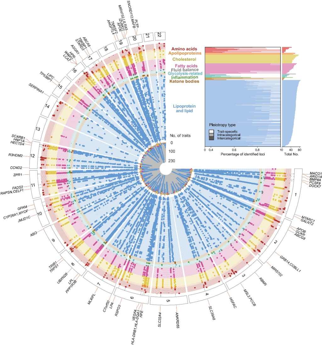 代谢物全基因组关联曼哈顿图