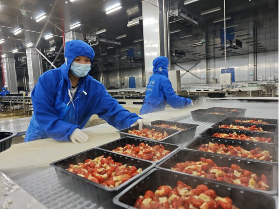 　　9月17日，在顺祥食品有限公司的加工车间内，工人正在忙着对已加工好的小龙虾进行分拣、称重、打包。（宋梅摄）