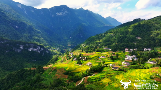 （5G+北斗构筑的“数智防线”让大山拥有了“数字哨兵”）