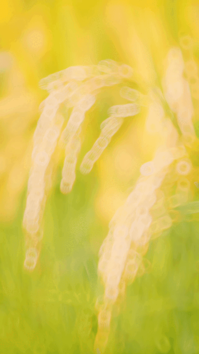 640_1138竖版 竖屏gif 动态图 动图