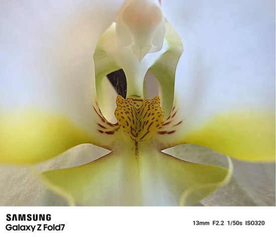 超广角微距拍摄