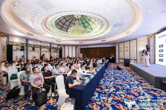 ARC咨询集团高级分析师-朱楠