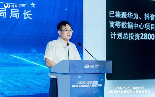 △芜湖市数据资源管理局局长汤新亮