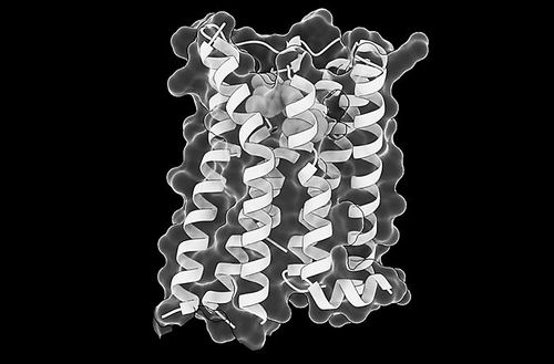  图片来源：TAYLOR MIGHELL/CRG