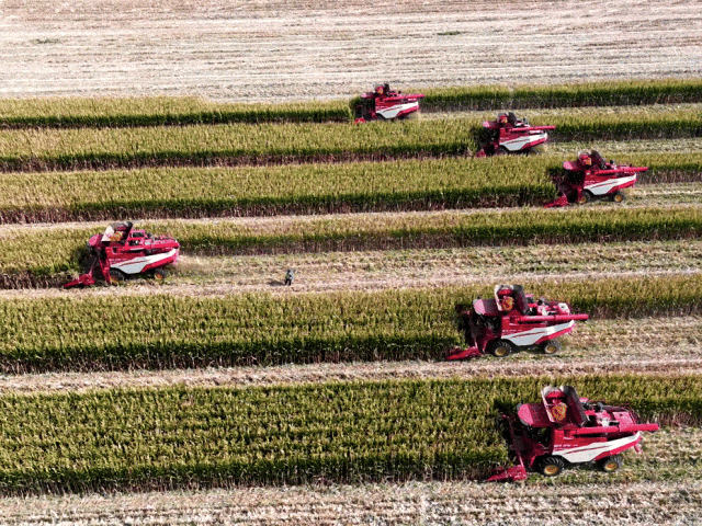 9月18日，新疆自治区机收减损活动现场