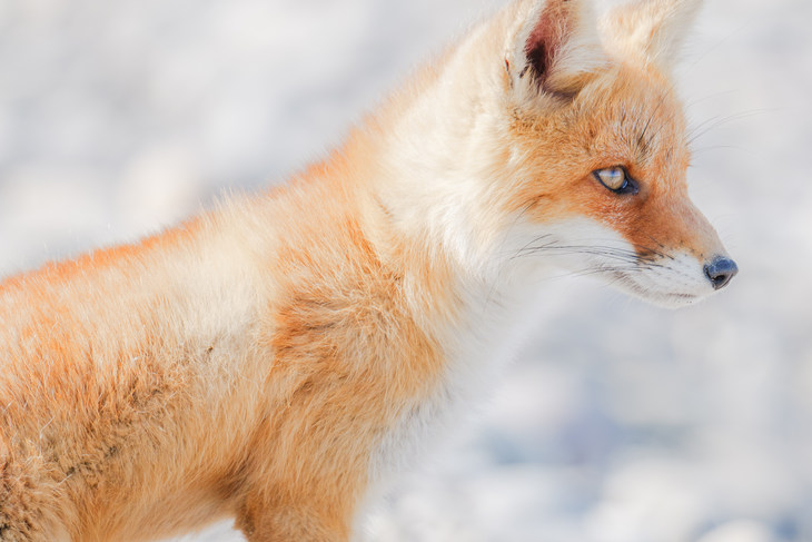 *1 截至2025年9月24日，在支持自动对焦的全画幅无反可换镜头相机中为首款