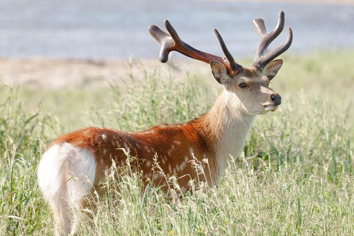 *1 截至2025年9月24日，在支持自动对焦的全画幅无反可换镜头相机中为首款