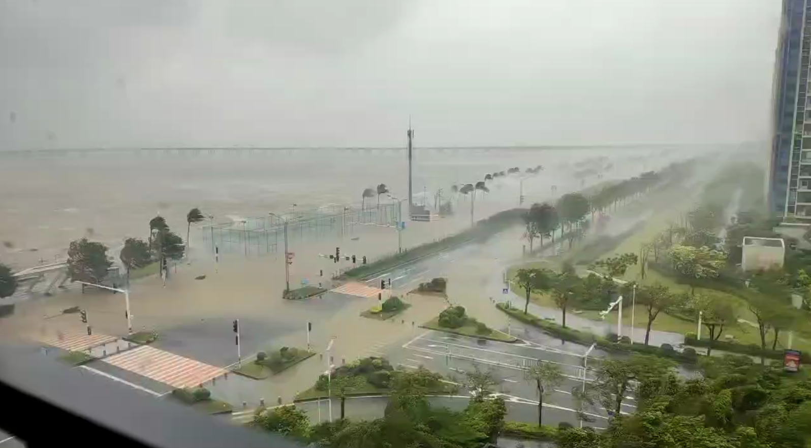 台风中的珠海居民：“风有所减弱，雨一直在下”|珠海市|海水倒灌|风暴潮|桦加沙|广东省_手机新浪网