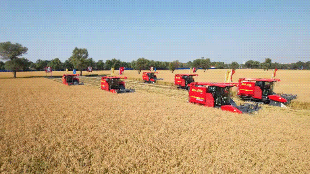 9月23日，黑龙江省庆丰收活动现场