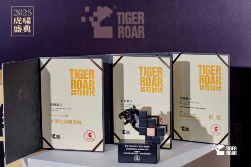 碧橙数字x BMW斩获虎啸多项大奖