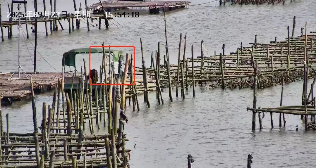 图：巡检发现未回港人员