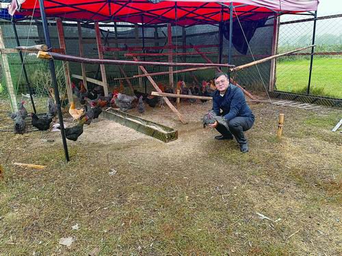 玉素甫的养鸡场。