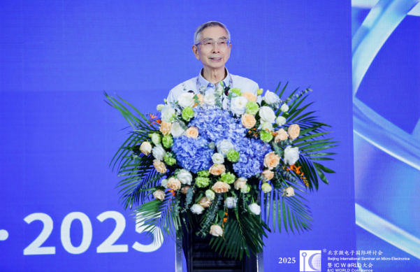 RISC-V工委会战略指导委员会主任倪光南