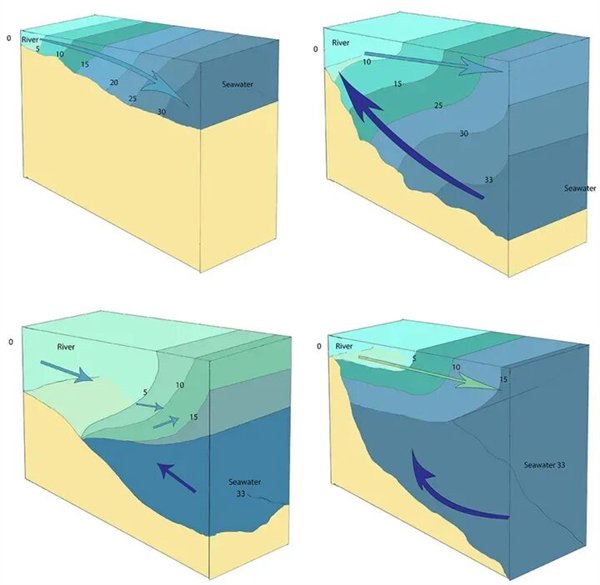 不同河口类型（坡度差异）的盐梯度变化。来源：libretexts.org