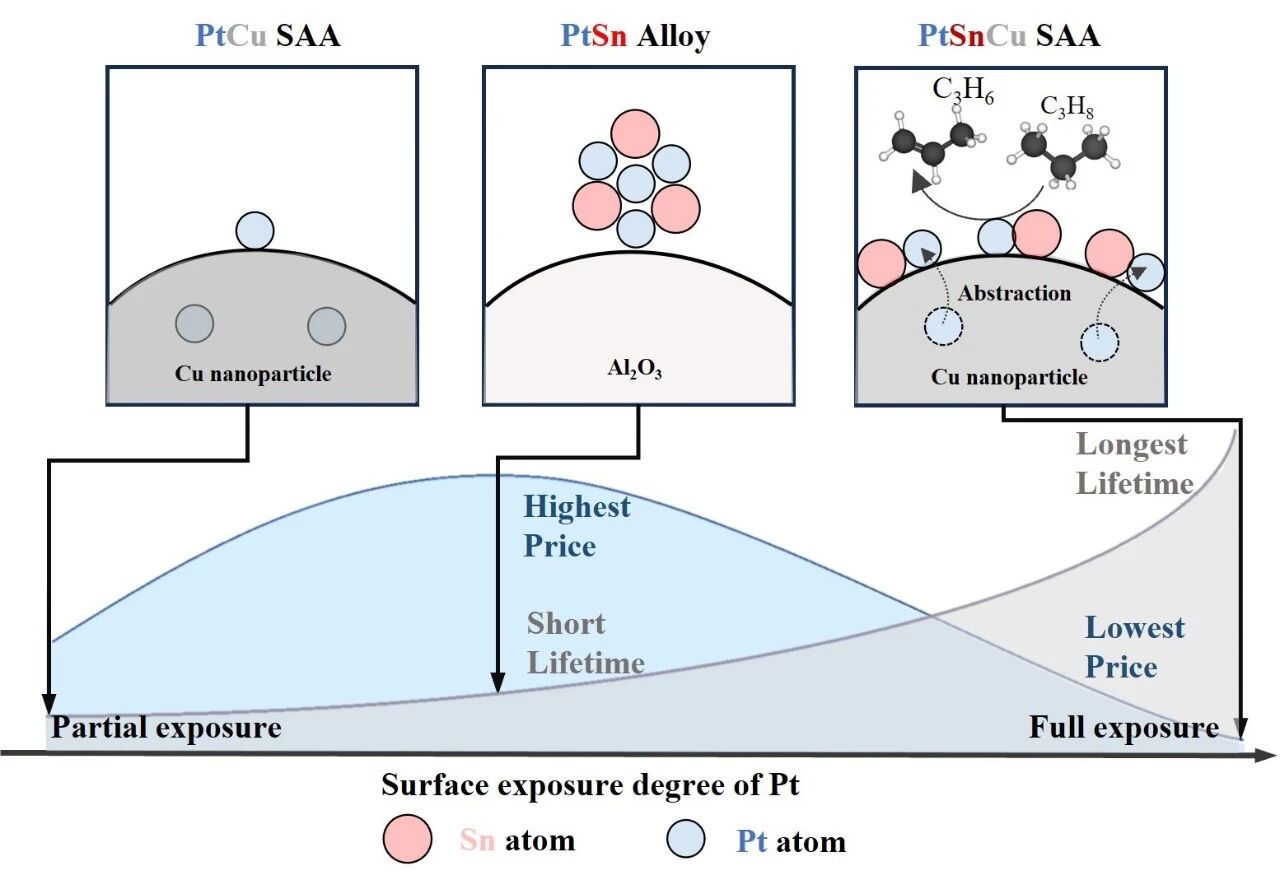 ▲ 贵金属表面分散度与催化剂性能关系示意图