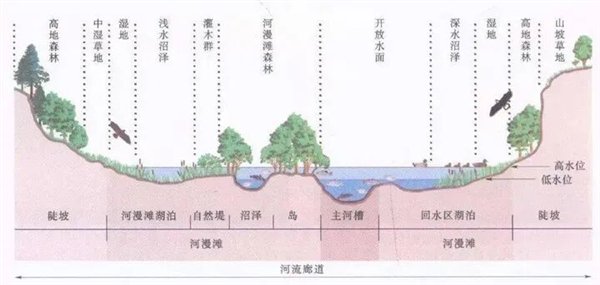 来源：FISRWG，1998，中文网络汉化版