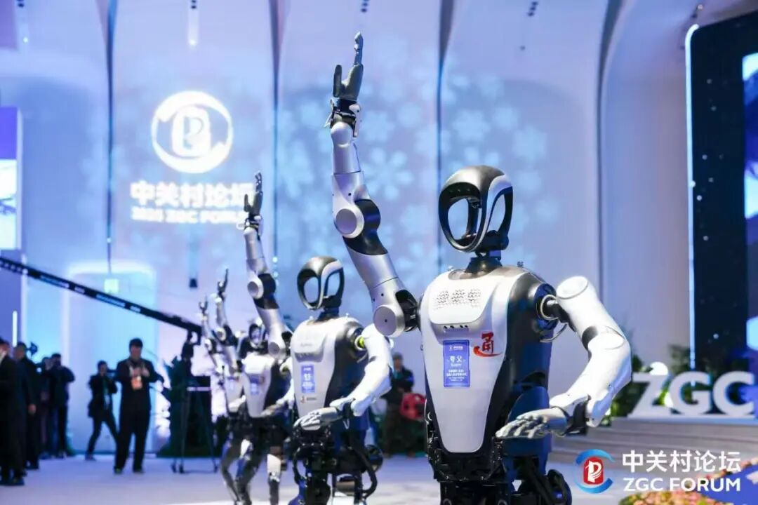 夸父东谈主形机器东谈主在中关村论坛开幕式上打太极