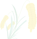 本文来源：中国金融新闻网