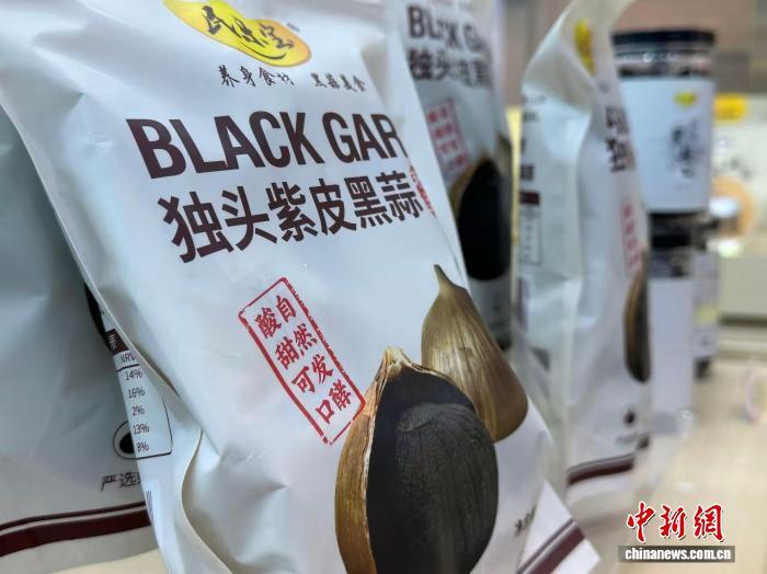 图为独头紫皮黑蒜。　戴文昌 摄