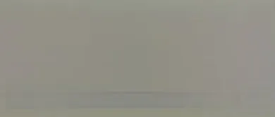 戴尔 Alienware AW3423DWF 显示 50% 灰色屏幕