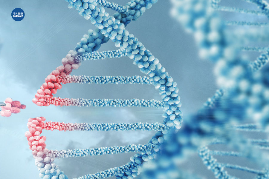 中耳筛查怎么做WHO提示！全球4.3亿人面临“听力危机”_https://www.jmylbn.com_新闻资讯_第6张