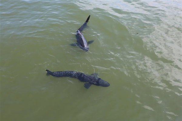 图源：杭州公安