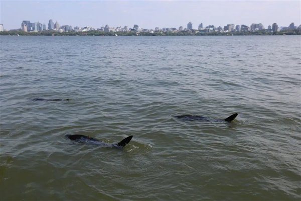  图源：杭州公安